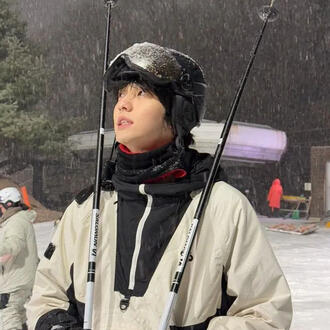 JavaScript:_nextSection();